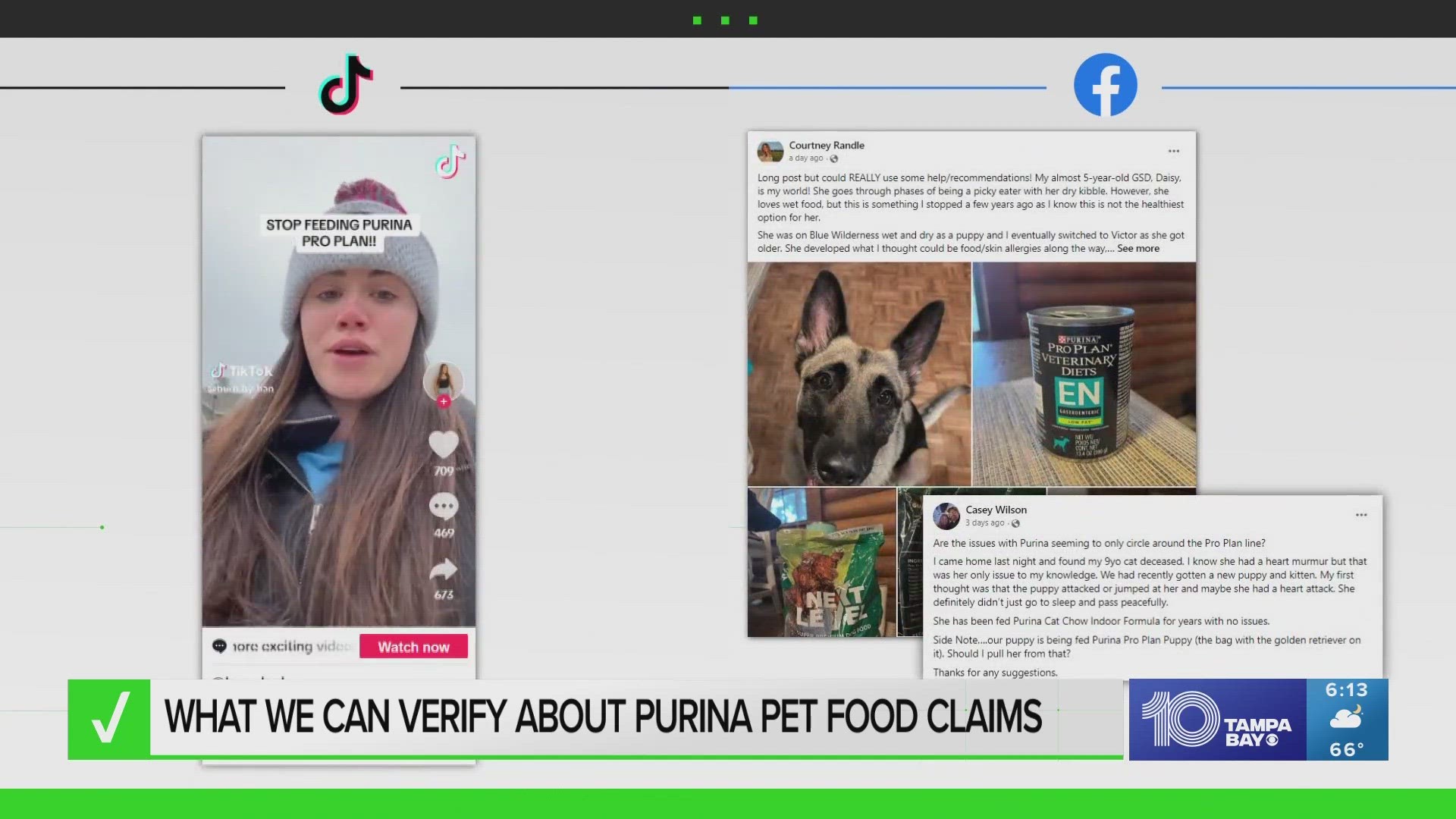Safety concerns have been raised in viral TikToks about Purina's Pro Plan pet food. The company says the claims are "online rumors."