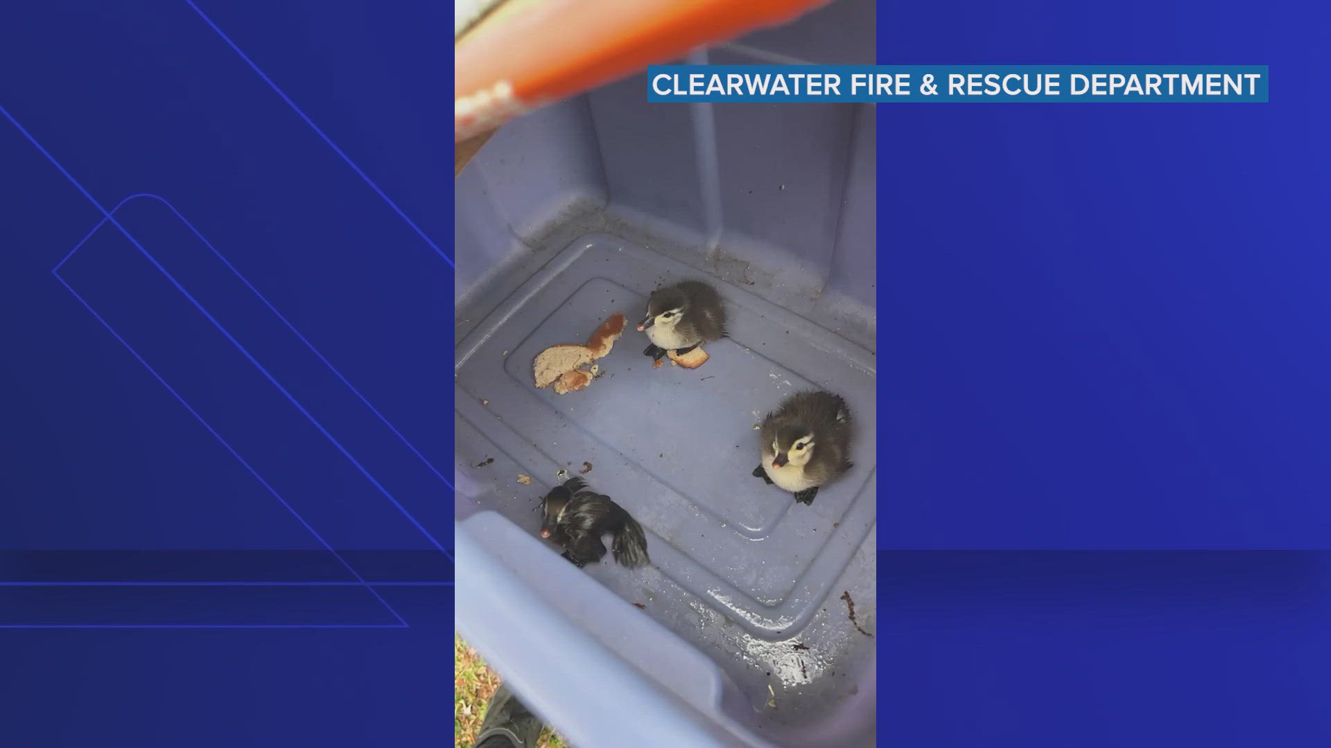 It's a rescue which fire officials say will "quack you up."