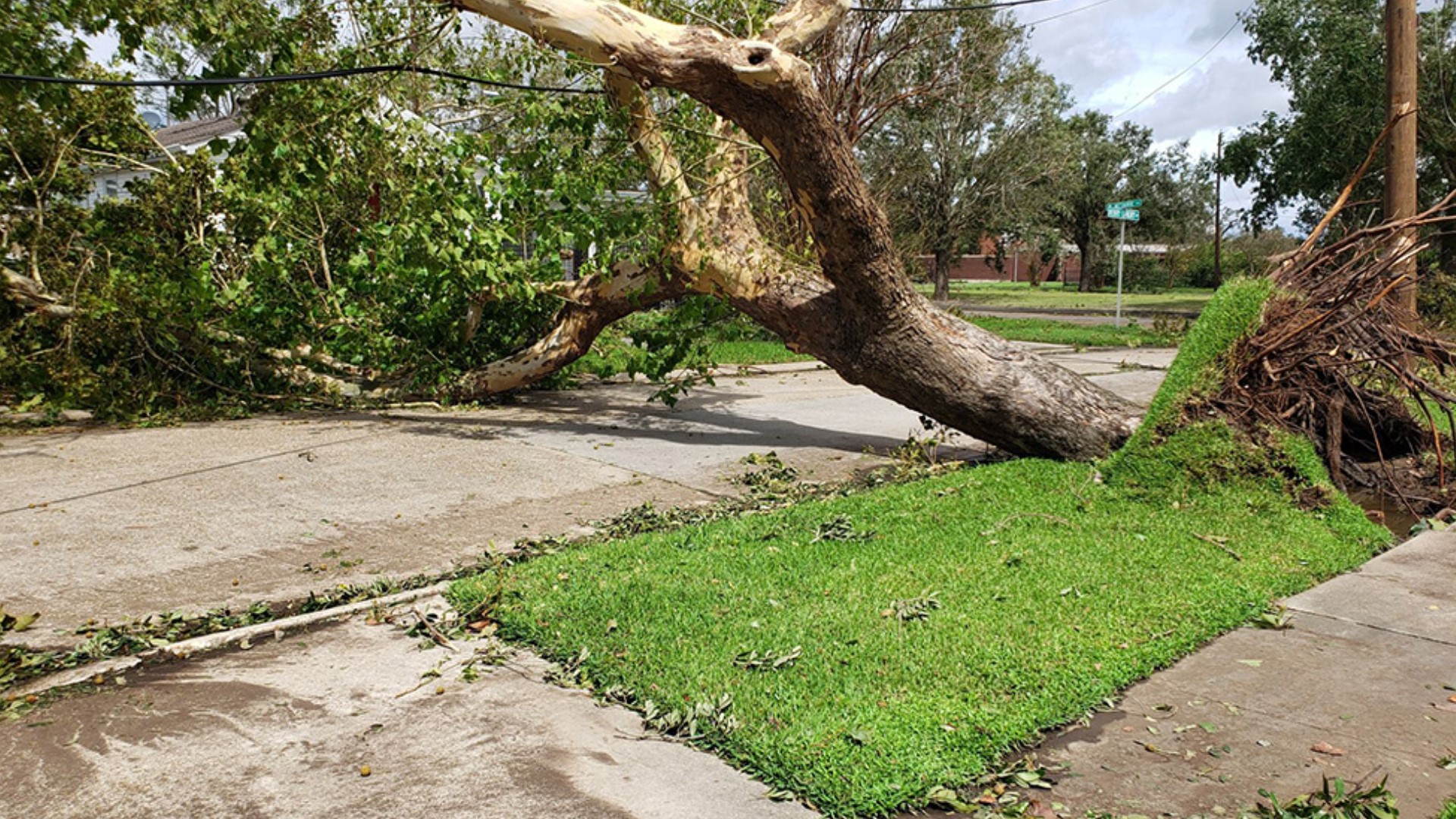 Photos and videos Hurricane Ida's vast damage apparent in daylight