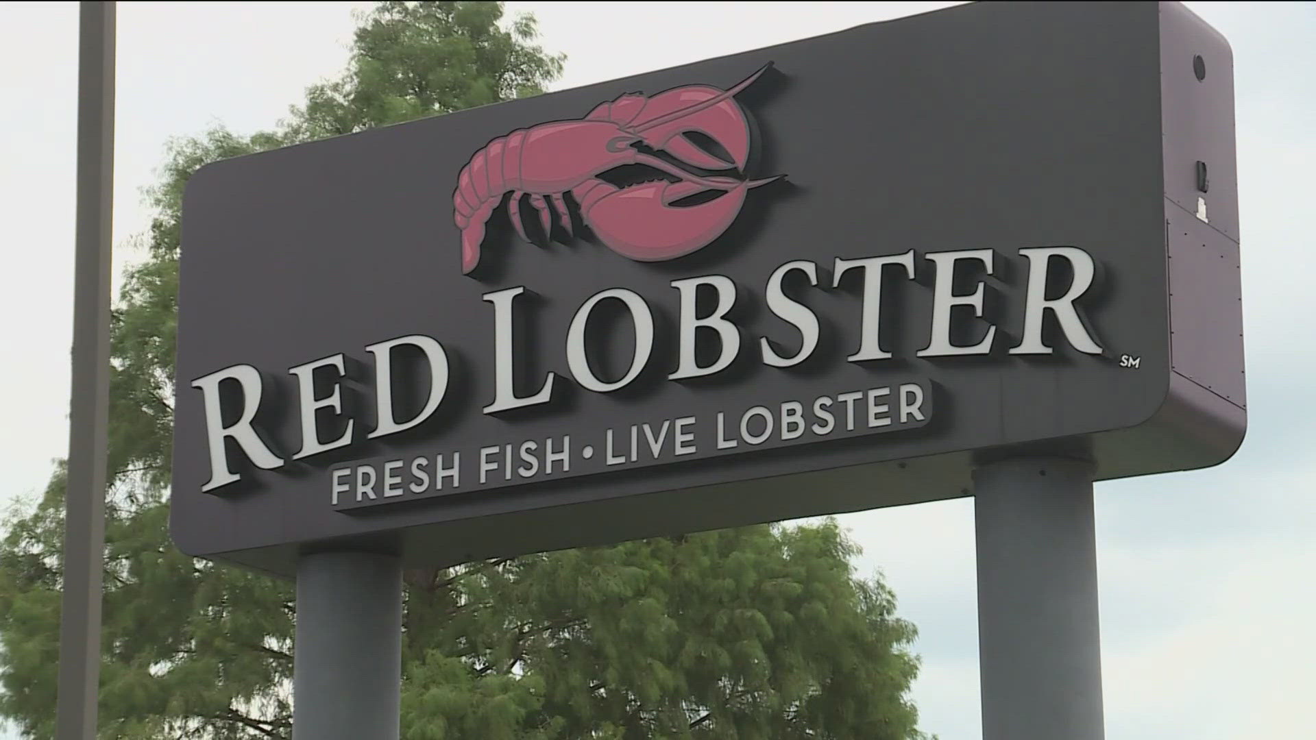 Red Lobster, which abruptly shut down more than 50 locations Monday, has yet to say anything publicly about the closures.