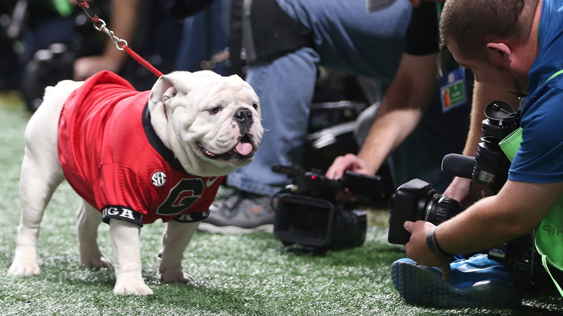 Bulldogs mascot history