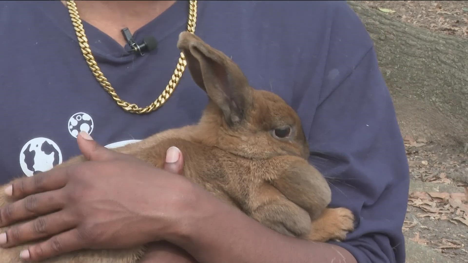 Cory Coleman is getting national attention for his dedication to his entire family -- including little Goldie.