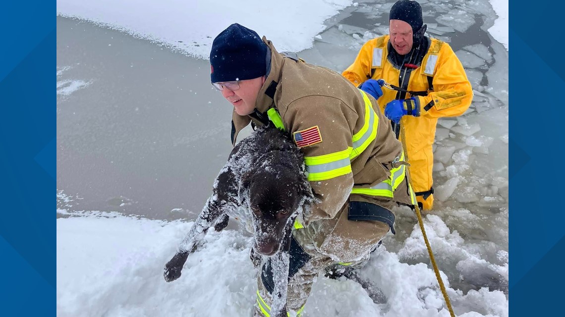 Dog safe after being rescued from frozen lake | whas11.com