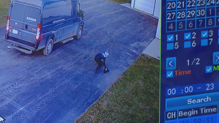 'CAUGHT ON CAM': Kitten returned home after Michigan family says delivery driver stole her